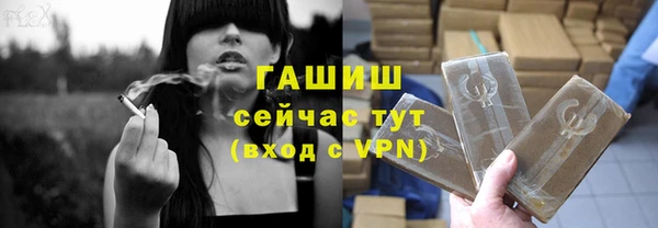 гидра Абаза