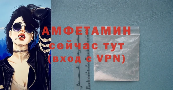 гидра Абаза