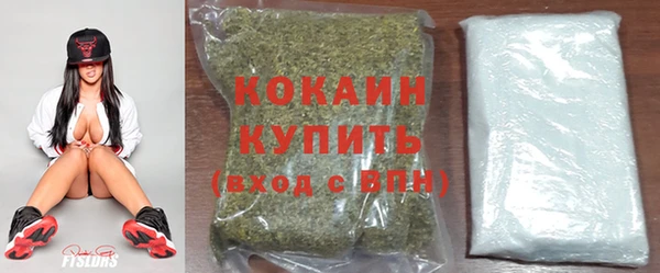 гидра Абаза