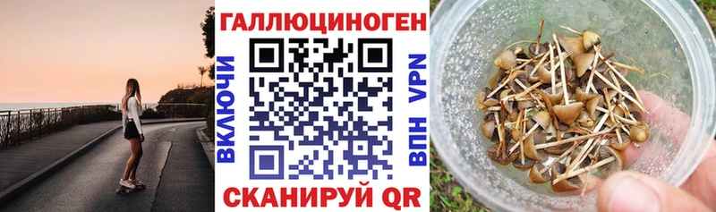 Псилоцибиновые грибы мухоморы  ОМГ ОМГ ONION  Серафимович 